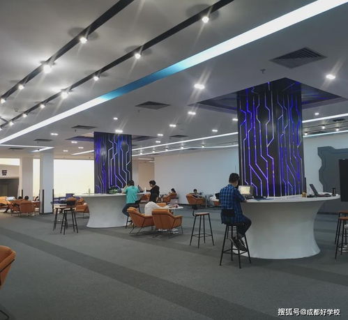 成实外国际部与电子科大大数据研究中心携手共建前沿科技探索环境